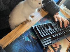 -贝康宠物医院·犬猫全科·小动物特色诊疗中心(东环路店)