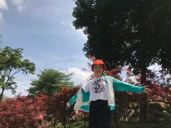 -广州市帽峰山景区