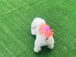 -Pink You美甲美睫纹绣定制中心