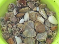 -西涌国际滨海旅游区