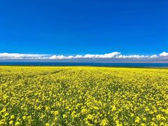 -青海湖国家重点风景名胜区