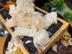 -一朵菌·野生菌探索家火锅(南亚店)
