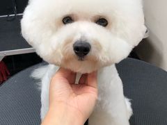 -小尾巴宠物店(万科·金域华庭店)