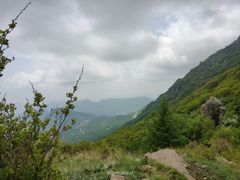 -白草畔自然风景区