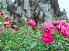 -人民公园(罗湖区)