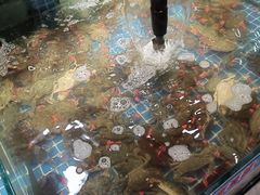 -和源祥·日照菜扛把子(万平口一店)