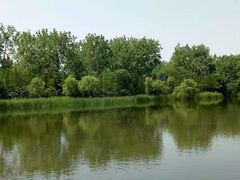 -溱湖国家湿地公园