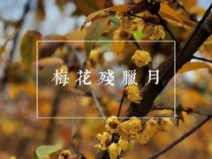 -塔子山公园