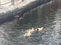 -水磨沟公园