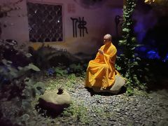 -印象普陀