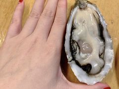 -囧吉香生蚝牛排馆(湖北路店)