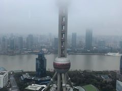 -上海波特曼丽思卡尔顿酒店