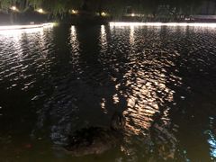 -金桥现代产业园区-停车场