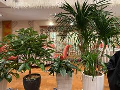 -花家八爷府(王府井·故宫店)
