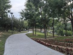 -马家湾湿地公园
