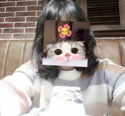 -木北造型