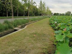 -嘉北郊野公园