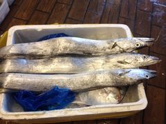 iphone_upload_pic-台州卡金海鲜楼(上南路店)