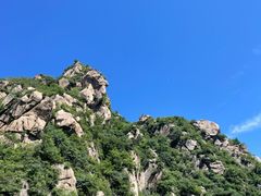 -大岭沟猕猴桃谷风景区