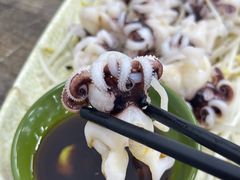 芥末海菊花-贞姨美食·老字号海鲜大排档