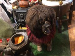 -吉祥圣雪藏餐