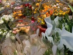 -循礼门鲜花花市(武汉循礼门店)