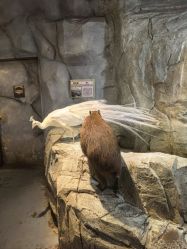 -Zoolung Zoolung动物主题公园(海信广场店)