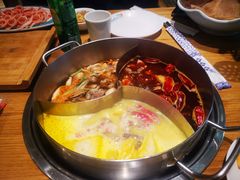 -青瓷火锅料理(西单大悦城店)
