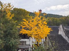 -无锡惠山寺