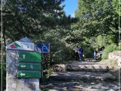 -北京鹫峰国家森林公园