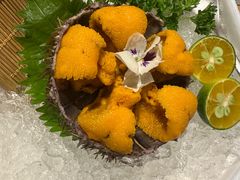 -鮨桐日本料理(望京店)