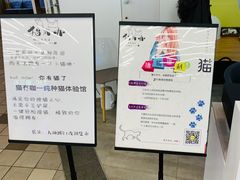 -猫冇咖·家门口的撸猫馆(大融城店)
