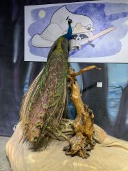 -酷嗒动物文化乐园(cutezoo西溪乐天城店)