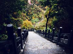 -藏山旅游风景区