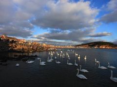 -二酉书店TOYOU BOOKS