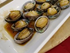 清蒸鲜鲍-潮喜竹溪荔湖酒家(荔枝湾店)