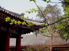 -西安市广仁寺