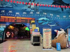 -蓬莱欧乐堡海洋极地世界