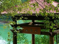 -广州白江湖森林公园