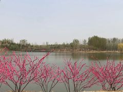-东郊湿地公园