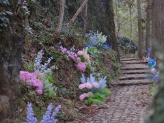 -龙湾潭国家森林公园