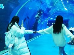 -哈尔滨波塞冬海底世界