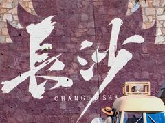 -长沙尼依格罗酒店