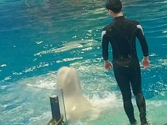 -威海华夏城景区