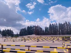 -光明驾校·学车·陪驾(杨浦店)