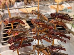 -小寒羊烧烤(凯瑞时代大厦店)