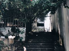 -厦门鸿山寺