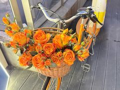 -深圳湾万象城(南山店)