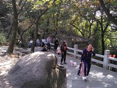 -灵岩山风景区