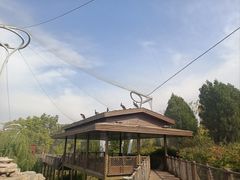 -太原动物园